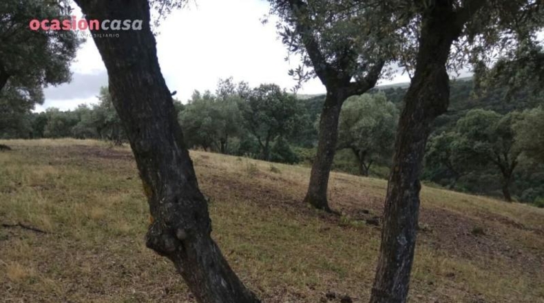 Córdoba - Villanueva de Córdoba - 310000m2