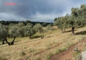 Chalet independiente con terreno en venta en la España, Villanueva de Córdoba, ref: TR235636 foto