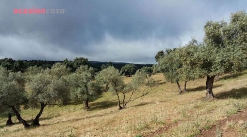 Córdoba - Villanueva de Córdoba - 310000m2