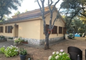 Casa de camp amb terreny en venda a la España, Sancedo, ref.: TR408579 foto