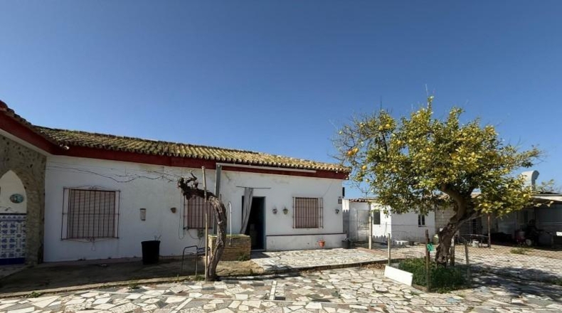 Sevilla - Pilas - 2934m2