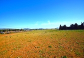 Chalet independiente con terreno en venta en la España, Muro, ref: TR158738 foto