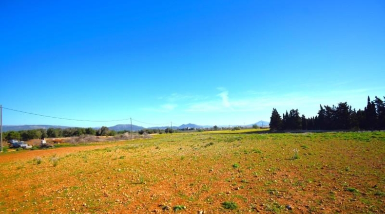 Islas Baleares - Muro - 15667m2
