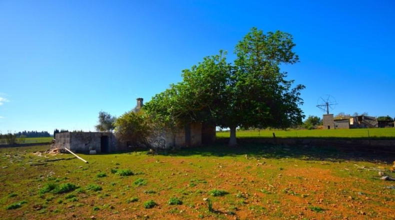 Islas Baleares - Muro - 15667m2