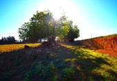 Chalet independiente con terreno en venta en la España, Muro, ref: TR158738 foto