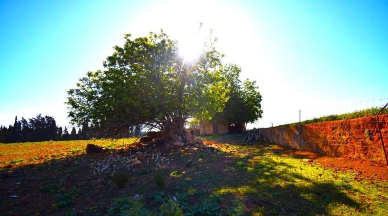 Islas Baleares - Muro - 15667m2