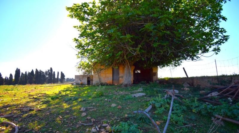 Islas Baleares - Muro - 15667m2