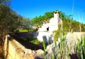Chalet independiente con terreno en venta en la España, Muro, ref: TR158738 foto