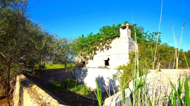 Islas Baleares - Muro - 15667m2