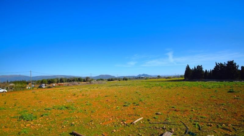Islas Baleares - Muro - 15667m2