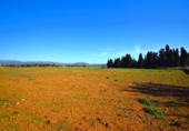 Chalet independiente con terreno en venta en la España, Muro, ref: TR158738 foto