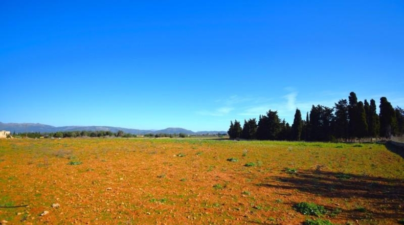 Islas Baleares - Muro - 15667m2