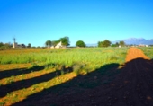 Chalet independiente con terreno en venta en la España, Muro, ref: TR158738 foto