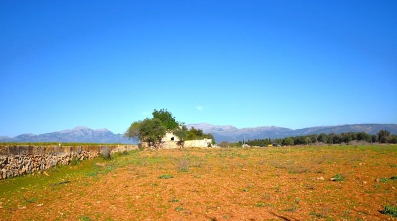 Islas Baleares - Muro - 15667m2