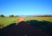 Chalet independiente con terreno en venta en la España, Muro, ref: TR158738 foto