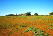 Chalet independiente con terreno en venta en la España, Muro, ref: TR158738 foto