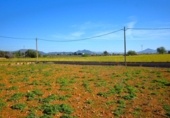 Chalet independiente con terreno en venta en la España, Muro, ref: TR158738 foto