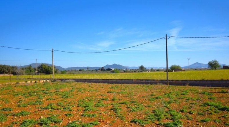Islas Baleares - Muro - 15667m2