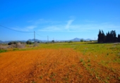 Chalet independiente con terreno en venta en la España, Muro, ref: TR158738 foto