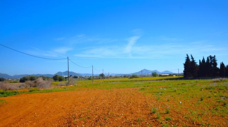 Islas Baleares - Muro - 15667m2