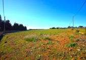 Chalet independiente con terreno en venta en la España, Muro, ref: TR158738 foto