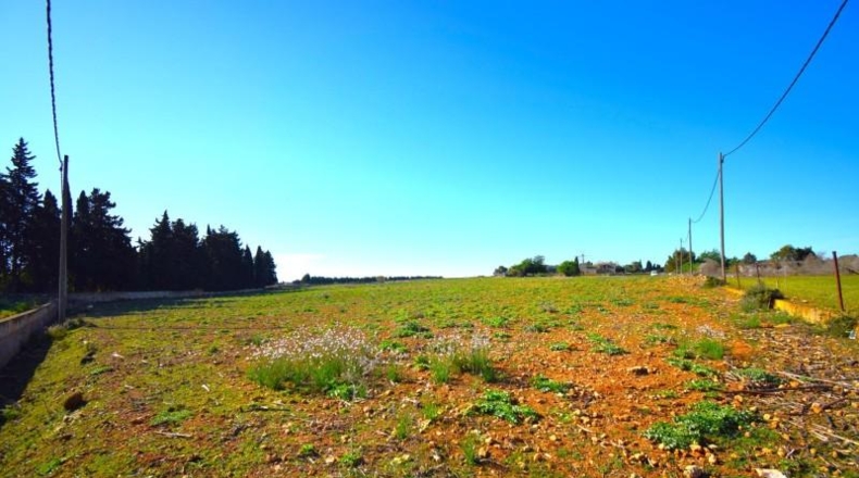 Islas Baleares - Muro - 15667m2