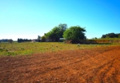 Chalet independiente con terreno en venta en la España, Muro, ref: TR158738 foto