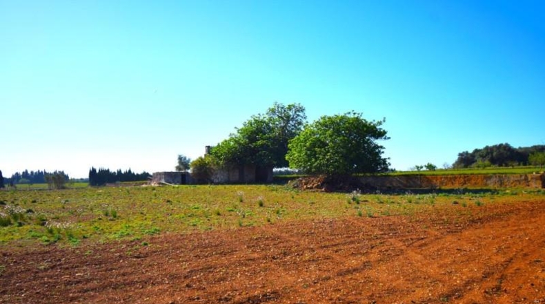 Islas Baleares - Muro - 15667m2
