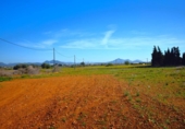 Chalet independiente con terreno en venta en la España, Muro, ref: TR158738 foto