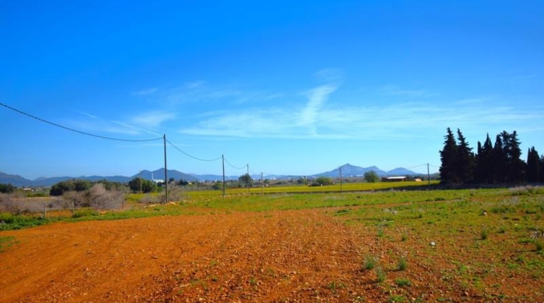Islas Baleares - Muro - 15667m2