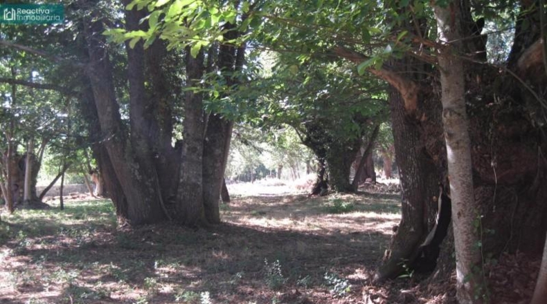 Orense - Celanova - 8796m2