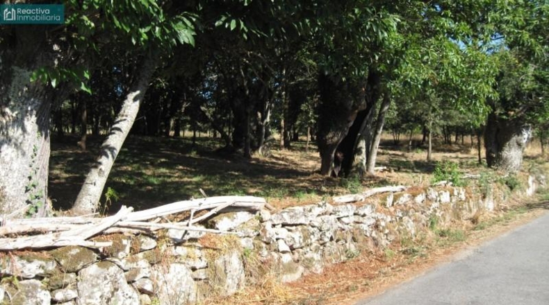 Orense - Celanova - 8796m2
