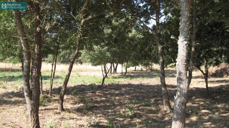 Orense - Celanova - 8796m2