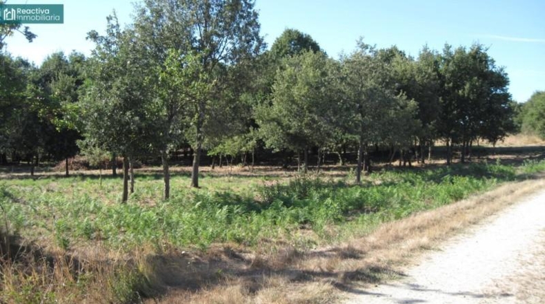 Orense - Celanova - 8796m2