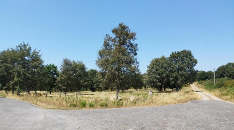 Orense - Celanova - 8796m2
