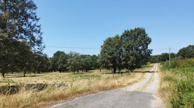 Orense - Celanova - 8796m2