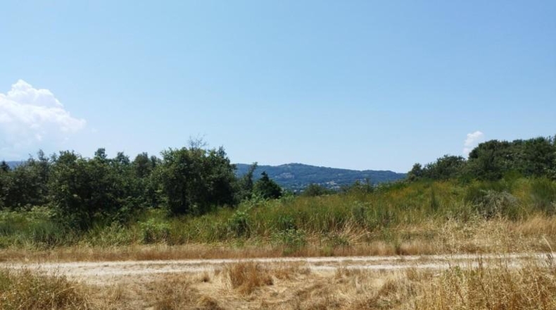 Orense - Celanova - 8796m2