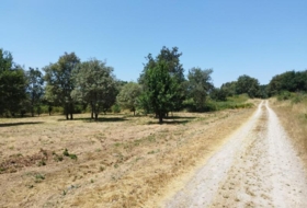 Foto 9