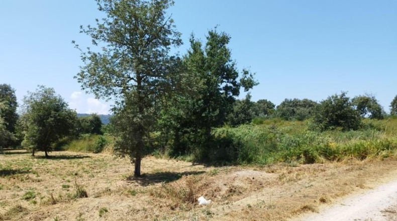 Orense - Celanova - 8796m2