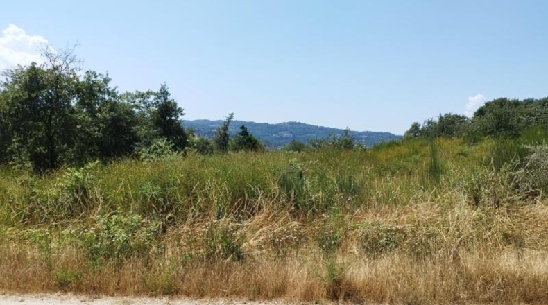 Orense - Celanova - 8796m2