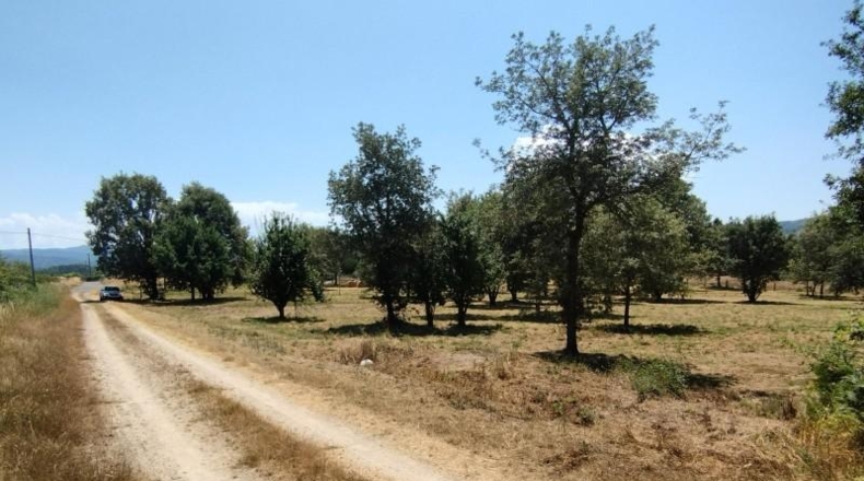 Orense - Celanova - 8796m2