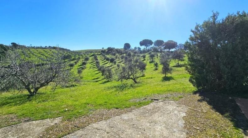 Córdoba - Villaviciosa de Córdoba - 36494m2