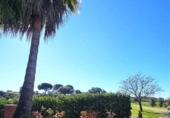 Chalet independiente con terreno en venta en la España, Villaviciosa de Córdoba, ref: TR244111 foto