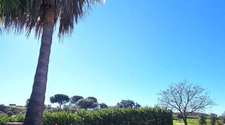 Córdoba - Villaviciosa de Córdoba - 36494m2