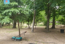 Foto 10