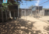 Finca rústica en venta en la España, Ávila, ref: TR375077 foto