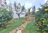 Chalet independiente con terreno en venta en la España, Corbera, ref: TR357779 foto
