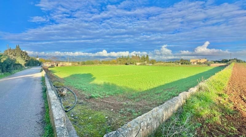 Islas Baleares - Муро - 25644m2