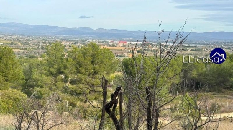 Valencia - Liria - 8660m2