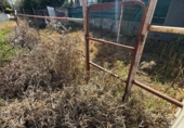 Земельный участок на продажу в городе Utrera Фото